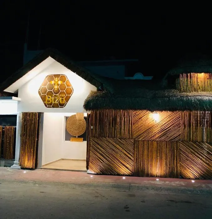 Casa Bizu-1
