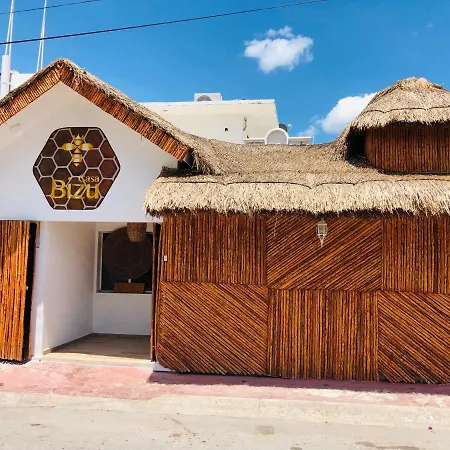 Casa Bizu-2