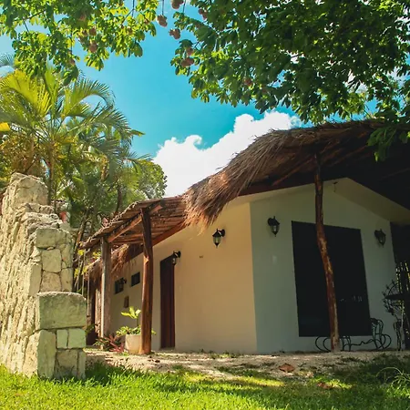 Tortuga Bacalar-3