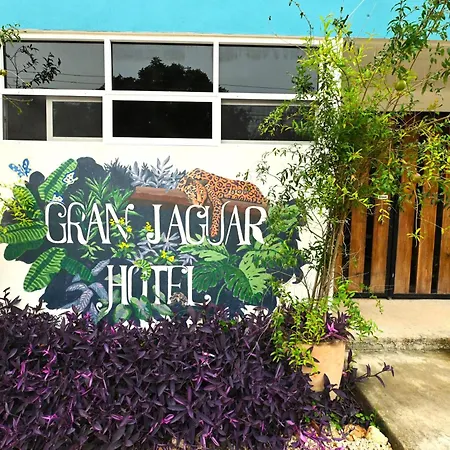 Gran Jaguar Hotel-3